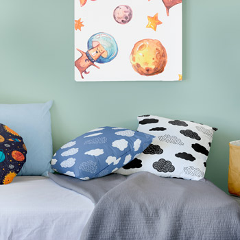 pillows printed with boysbedding pattern